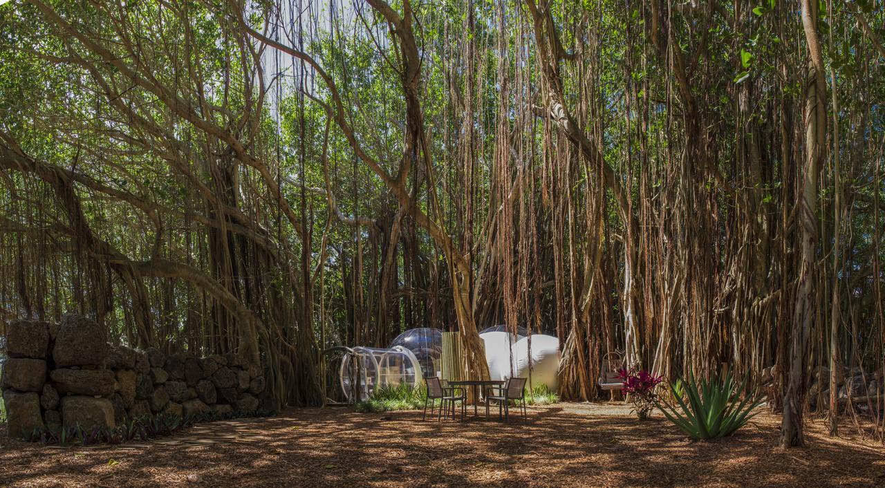 Bubble Lodge Ile Aux Cerfs Island Eksteriør bilde